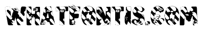 Summer Yellow Font