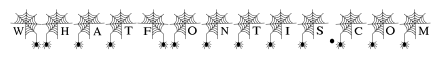 Spider web frame