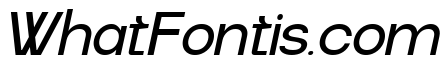 Soltyer Italic