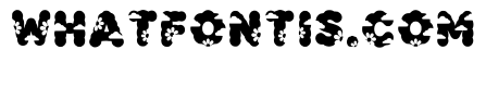 Skyflower Regular