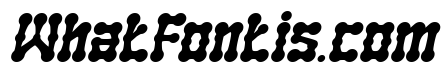 SKELETON ARMY Bold Italic