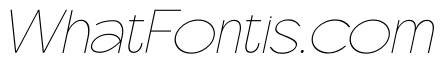 Scramble Thin Italic