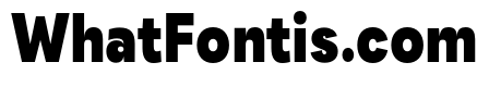 Santhor Black Condensed
