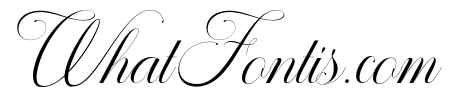 Sallintine Calligraphy Italic R