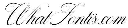 Sallintine Calligraphy Italic 1