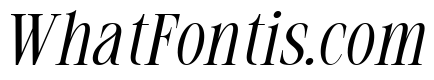 Rekogil Italic