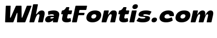 Realic Italic