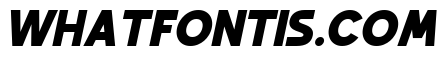 Rain Jungle Italic