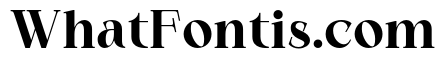 Qelvora Extra Bold