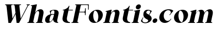 Qelvora Black Italic