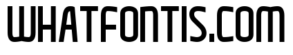 Perfect Xoliday Bold