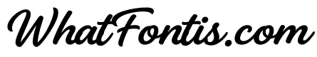 Pattas Signature Italic