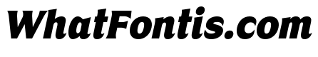 Nunda Dela Black Italic