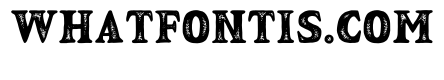 NoltonVintage-SerifRough