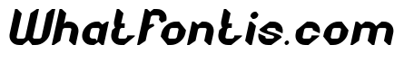 NIGHT HAWK Italic