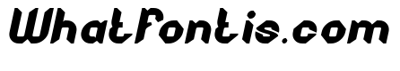 NIGHT HAWK Bold Italic