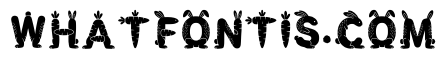 Mold Regular