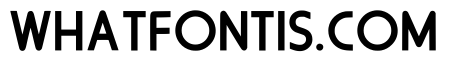 Modern Concept Regular