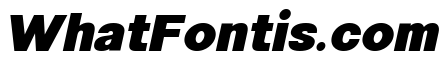Minez Black Italic