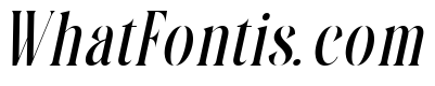 Mafesta Italic