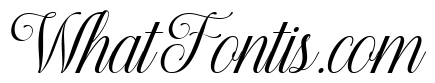 MAERISON SCRIPT Regular