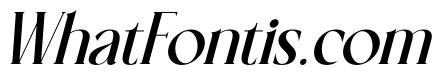 Lover Roses Italic
