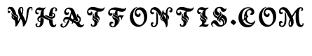 Loran Regular