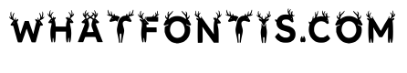 Locket Regular