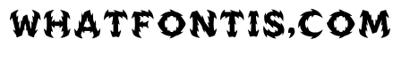 Leeks Regular