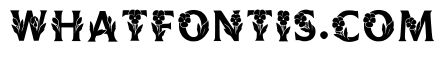 Lantern Regular