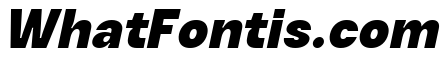 Kynetic Black Italic
