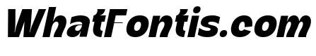 Kanile Black Italic