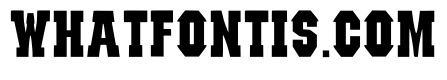 Iron Saddle Regular