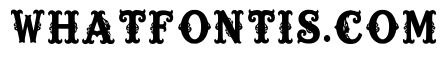 Ifion Regular