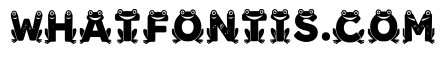 Icon Regular