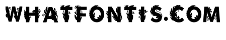 Hinda Regular