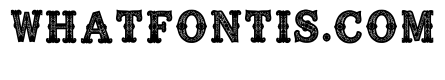 High_contrast Display Regular