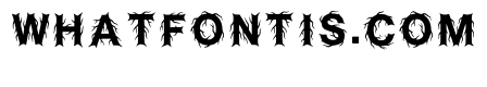 Helon Regular