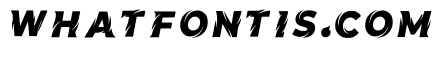 Haydn Regular