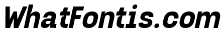 Gubera Mono Italic