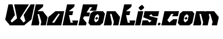 GORILLA PROTOCOL Bold Italic