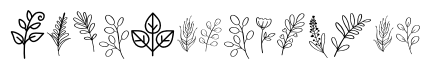Botanical Bonus Set