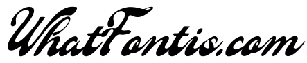 Fioltia Classica Italic