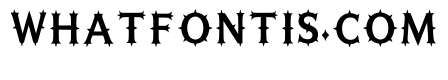 Finne Regular