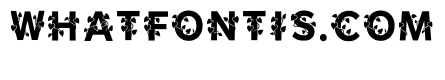 Feryl Regular