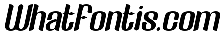 Fake Reality Italic