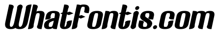 Fake Reality Bold Italic