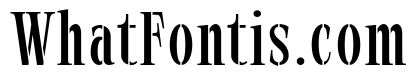 Exovect Light Condensed