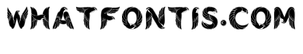 Evany Regular