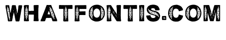 Embroidery Regular